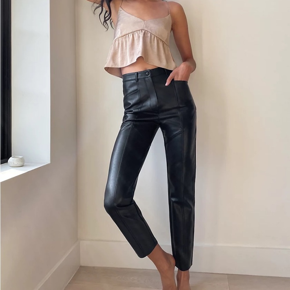 Aritzia Wilfred Rebel Pants